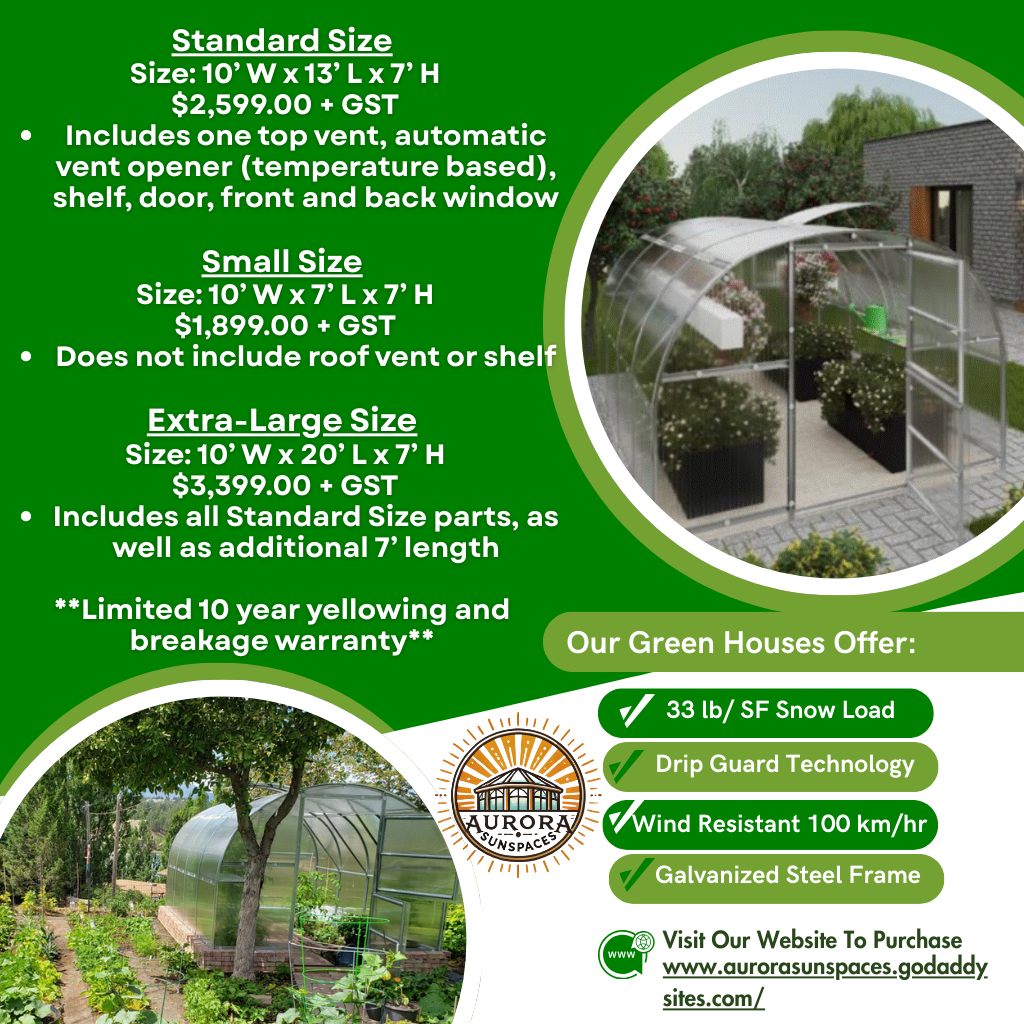 Green House - Small Size