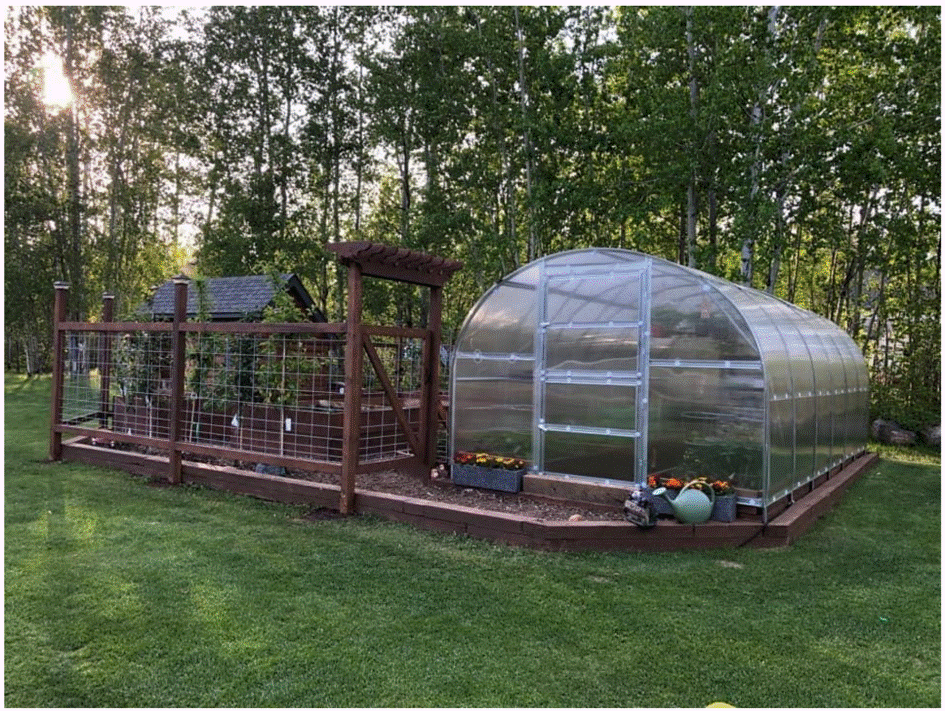 Green House - Extra-Large Size