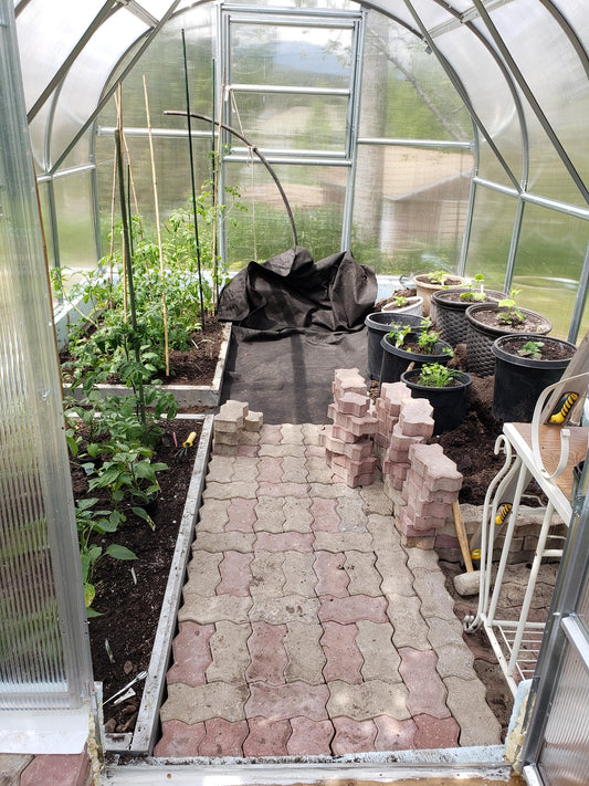 Green House - Standard Size