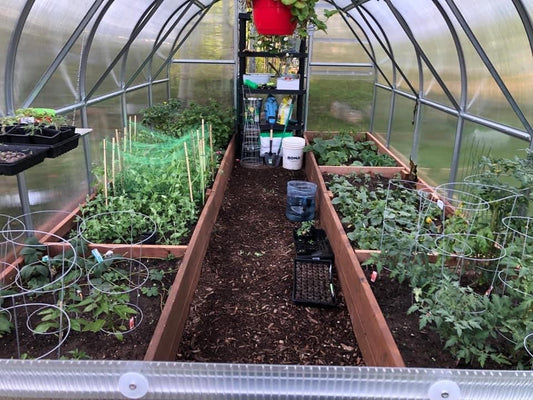 Green House - Small Size