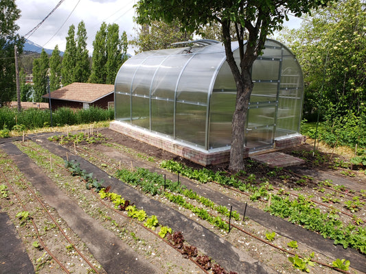 Green House - Standard Size